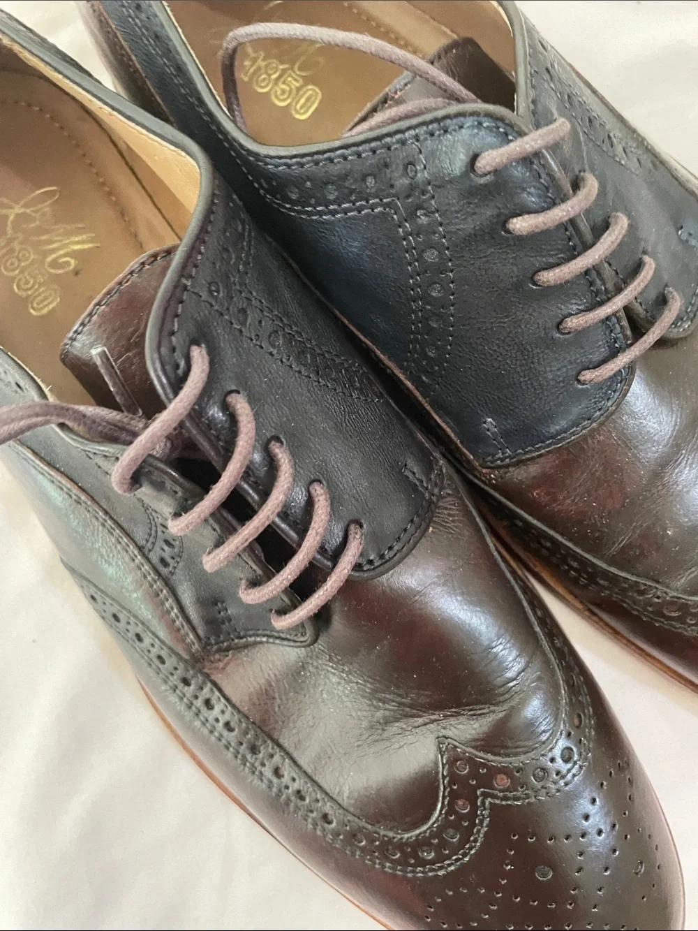 Johnson and Murphy Classic Two-Tone Wingtip Oxfords in Browns Sz 11.5M